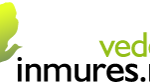 logo-vederi