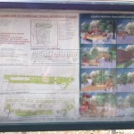 reamenajare bulevardul cetatii 03