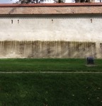 IMG_1521