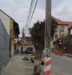 20160313_180722
